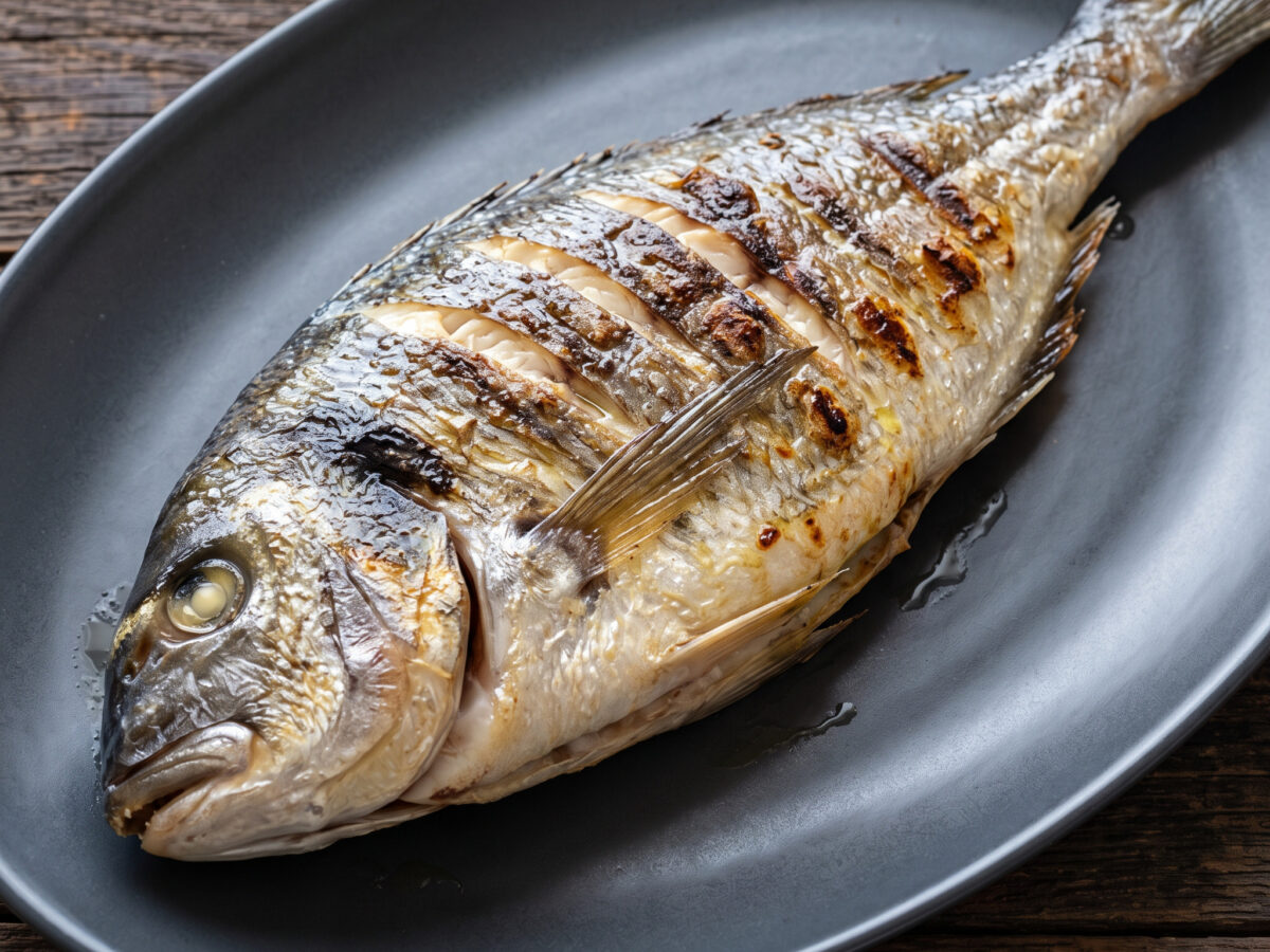 Çipura Izgara: Ganze Dorade vom Grill